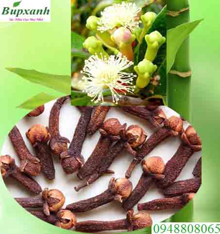 Đinh Hương Đinh Hương